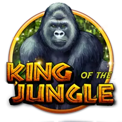 jjbet casino what bet mean in slang